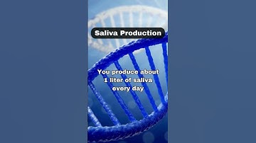 🤯💦 You Produce 1 Liter of Saliva Daily! | Mind-Blowing Body Fact #shorts #shortvideo #trending