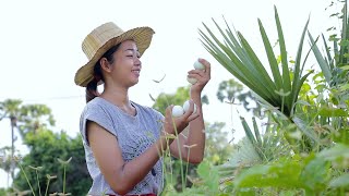 Cooking Baby eggs duck with Coconut water for Food Village