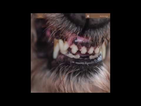 Blanck Mass - Rhesus Negative