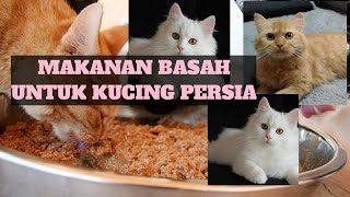 CARA MEMBUAT MAKANAN BASAH UNTUK KUCING PERSIA