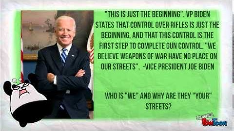 Gun Control: The Argument