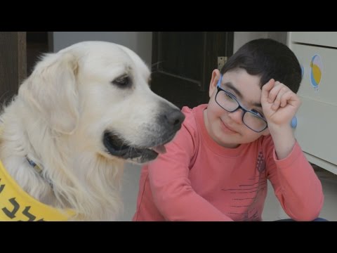 וִידֵאוֹ: כלב עיוור משתמש לראות כלב עיניים כדי להתנייד