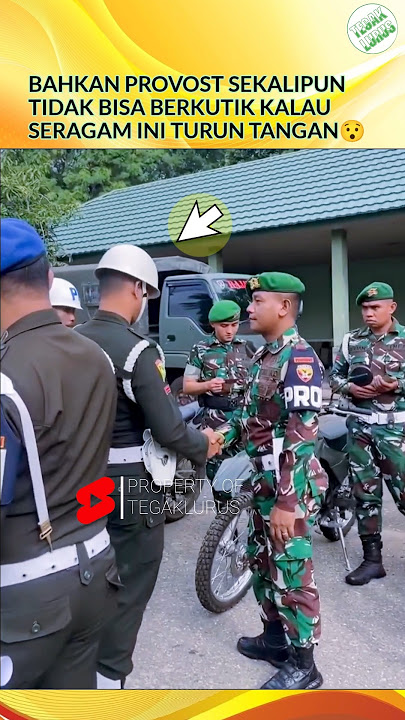 The Most Feared Uniform in the Military #shortvideo #tni #pm #provost #bravotni