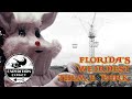 Florida&#39;s WEIRD Controversial Theme Park - Nightmare Films, God&#39;s World &amp; Rock&#39;n&#39;Roll Pirates World