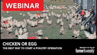 Webinar: Chicken or egg? The best way to start a poultry operation by Farmers Weekly SA 3,438 views 10 months ago 1 hour, 59 minutes