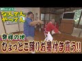 【なんでんやってん】本場のひょっとこ踊りのお墨付きを貰おう