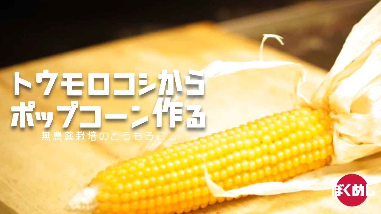 とうもろこしからポップコーン作ってみた Popcorn いただきます 4 Youtube とうもろこしからポップコーン作ってみた Popcorn いただきます 4 Youtube