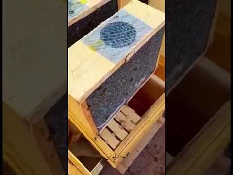 تسكين نحل مرزوم نحل مصري