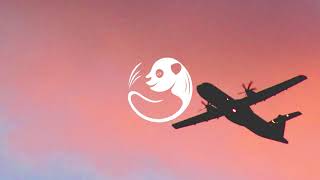 Steezefield - All The Time