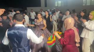 Nusaybin Düğünü .2024 Derikli Hozan Memo Grani 2024