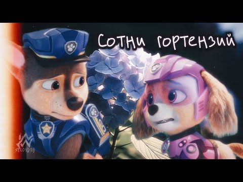 NWS98 ► Chase x Skye - Сотни Гортензий // Три Дня Дождя/ Paw Patrol🖤2K