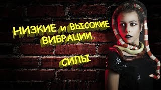 Низкие и высокие вибрации. Силы