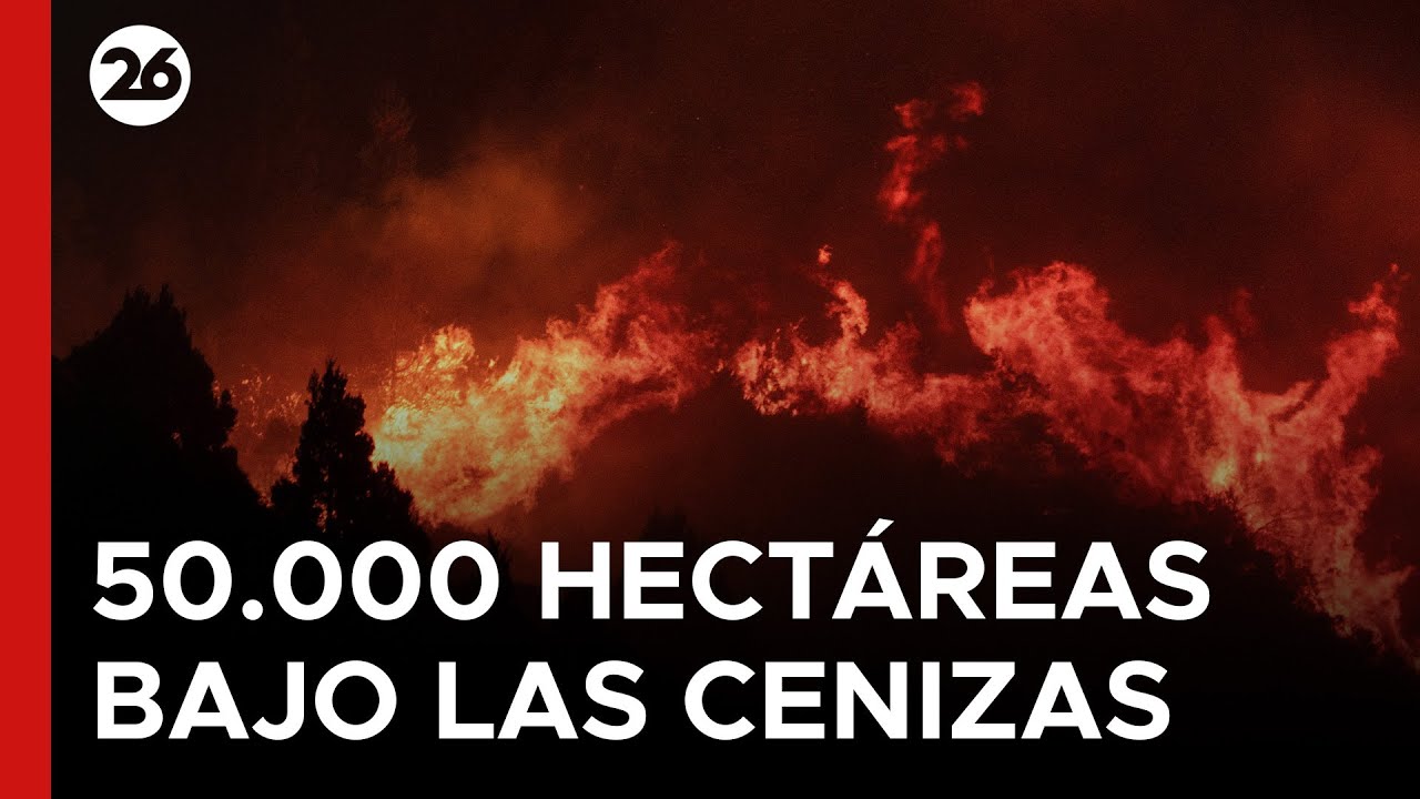 🔥 PATAGONIA EN CENIZAS | El viento y el calor avivan el fuego: ya son ...