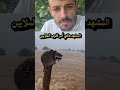 إذ وظعت عنوان مناسب فأنت فيلسوف عبقري المشهد الذي أسر قلوب الملايين