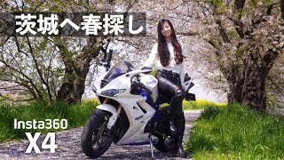 Going to See the Cherry Blossoms in Ibaraki, Japan Riding the Daytona675!