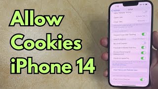 How to Allow Cookies on iPhone 14