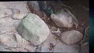 宜蘭猴洞坑2019524