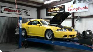 Stang Hi 04Cobrawhip34Dragcar-Genec.mpg