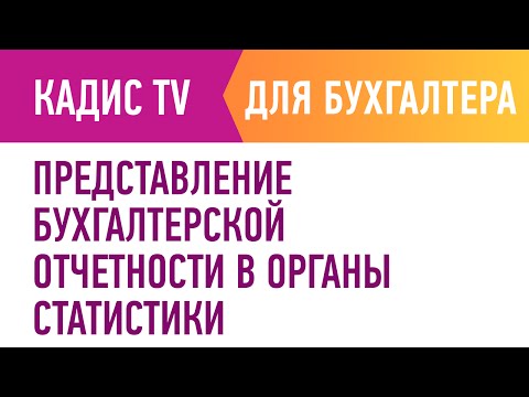 Представление бухгалтерской отчетности в органы статистики.