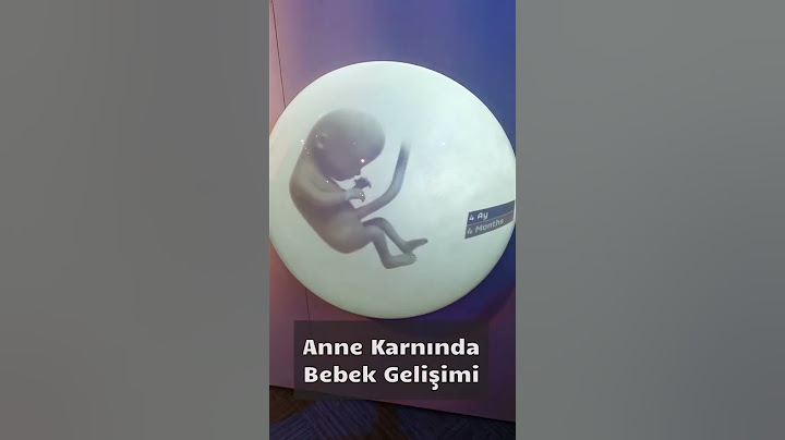 Anne Karnında Bebek Gelişimi | Doç. Dr. Saniye Bencik Kangal