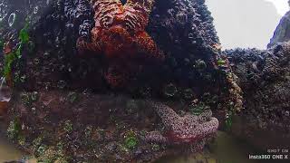 Insta360 One X Exploring the Beach. Lincoln City, Oregon