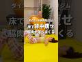 寝ながら出来る背中痩せエクササイズ！背中の贅肉、脇肉にとても効果的！ #ダイエット