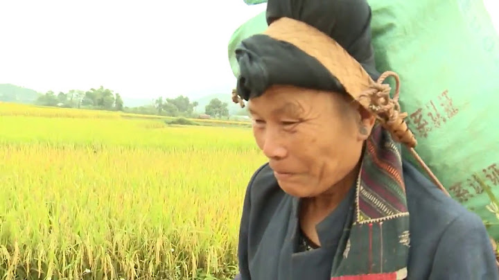 Sơ đồ đánh giá rủi ro vietj nam