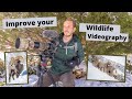 Improve your Wildlife Videography, how to get smoother Wildlife videos. Basics of using a Fluid Head