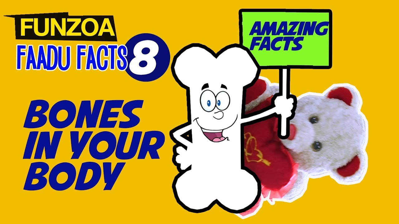 Funzoa Faadu Facts EP8- BONES IN YOUR BODY | Amazing facts about human Bones | Mimi Teddy facts
