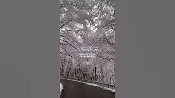 سورة النبأ [  ١٦ - ٦ ] ألم نجعل الأرض مهدا  #أحمد_خضر