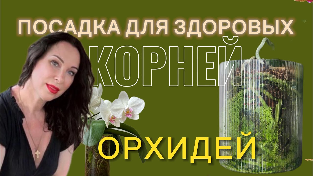 КРАСИВО и ПРИРОДНО пересадила азиатских подростков!