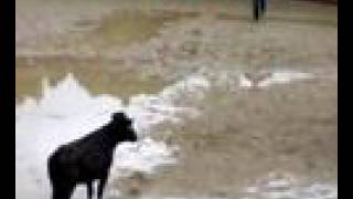 Carlets El Niño Torero