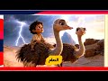 الولد الذي عاش مع النعام الفصل الثاني 