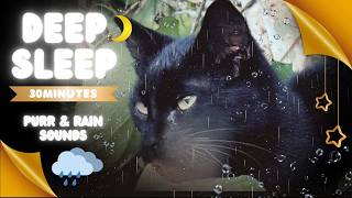 Deep Sleep Sounds | Cat Purring & Hard Rain Sounds for Relaxation (30 min)