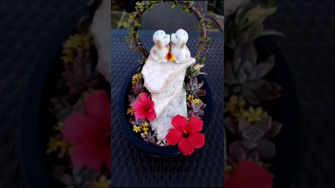 Bam flower Say piante fiori e bonsai e l amore per la vita