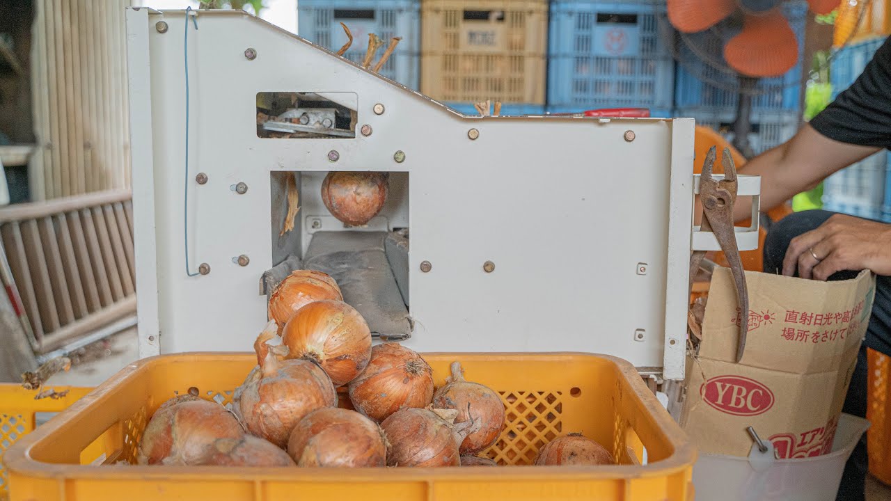 Супер экономящая время машина, которая аккуратно срезает листья и корни