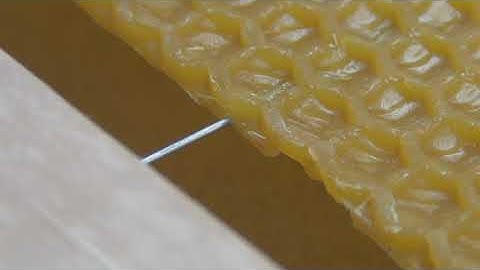 Adding Layens Wax Foundation to Frames