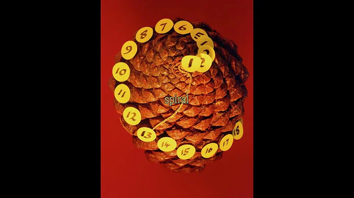 14 Mind-Blowing Facts About the Golden Ratio!