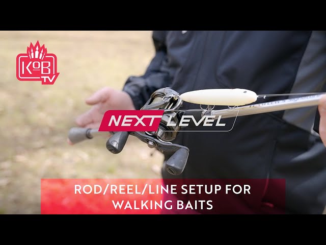 Topwater Tactics Pt. 2: Rod, Reel and Line Setup for Walking Baits