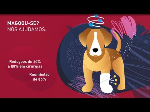 Vídeo: Alternativas Ao Seguro De Animais De Estimação