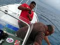 Fishing for live bait  west coast  republic of palau