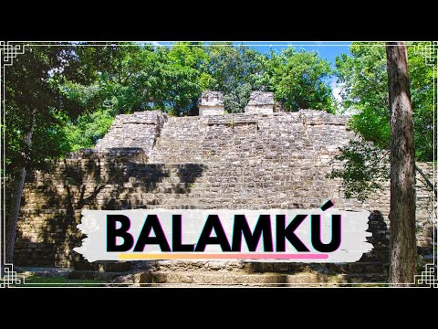 Video: Descripción y fotos de las ruinas de Balamkú - México: Campeche