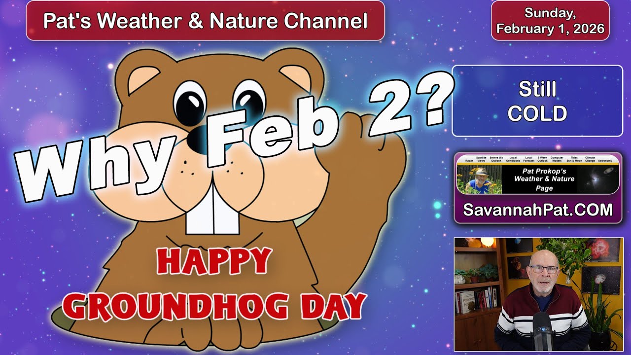 Всё ещё очень холодно, и почему День сурка отмечается 2 февраля?