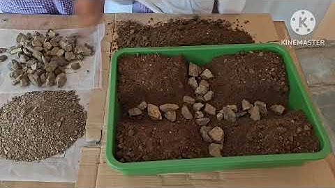 Viksit Bharat Buildathon 2025 Idia Submittion 