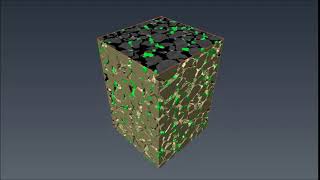 Biocement: 3D representation