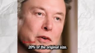 Musk fired 80% of twitter staff