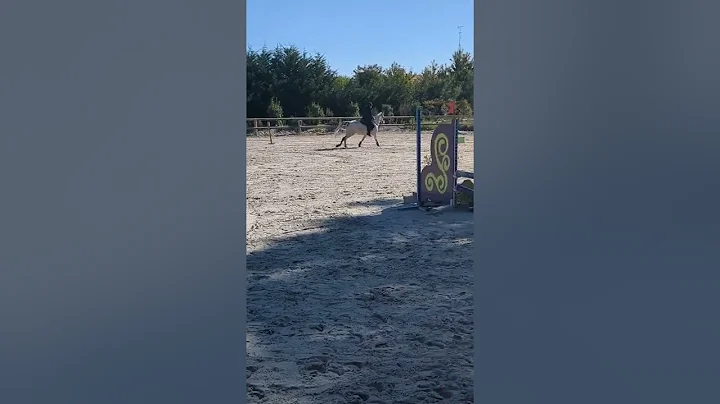 comptition hunter 2022 Shana