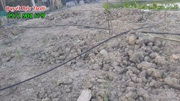 Cung cấp vật tư, khách tự lắp, hướng dẫn hệ thống #quyetbectuoi