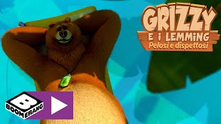 Dispetti tropicali | Grizzy e I Lemming | Boomerang