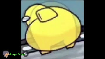 64 bits 32 bits 16 bits 8 bits 4 bits 2 bits 1 bit but it